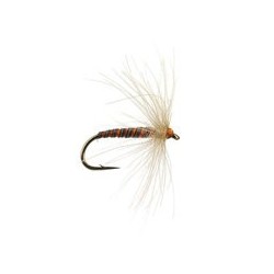 CDC Croupion De Canard