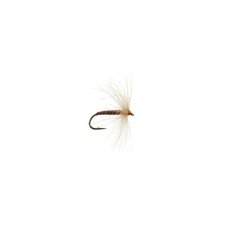 CDC Croupion De Canard