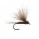 CDC Dark Olive