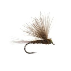 CDC Dark Olive