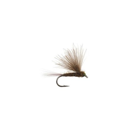 CDC Dark Olive