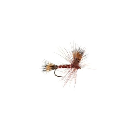 CDC Dry Brown