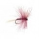 CDC Dry Claret