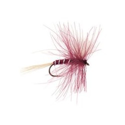 CDC Dry Claret