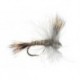 CDC Dry Grey
