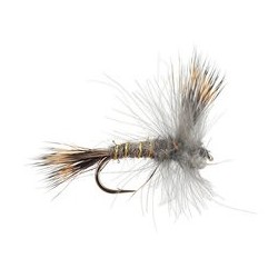 CDC Dry Grey