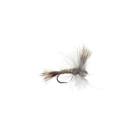 CDC Dry Grey