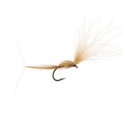 CDC Dry Wonder Dark Tan