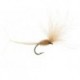 CDC Dry Wonder Tan
