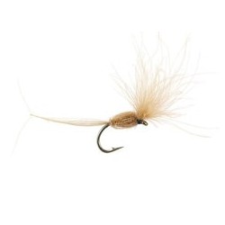 CDC Dry Wonder Tan