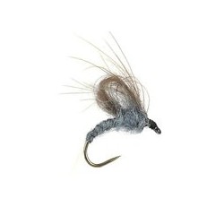 CDC Emerger Grey Bl