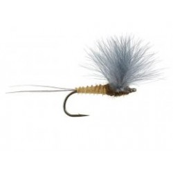 CDC Flies Doubtless Belong to The