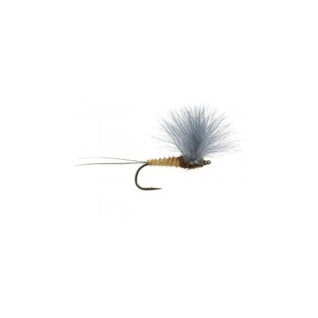 CDC Flies Doubtless Belong to The