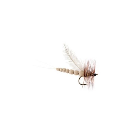 CDC Foam Ecdyo