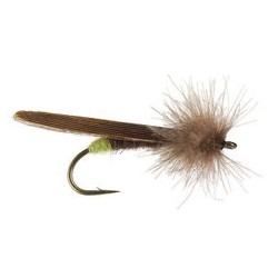 CDC Grannom
