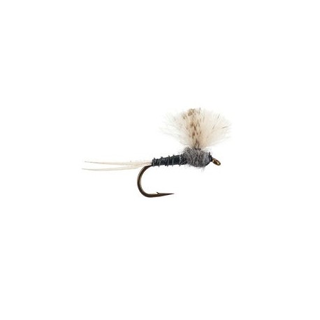 CDC Grey Baetis