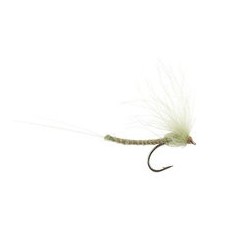 CDC Long Extended Body Tan
