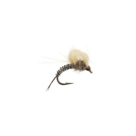 CDC Loopwing Emerger Tan