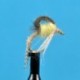 CDC Loopwing Emerger Cahill