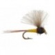 CDC Mini Biot Comparadun Female