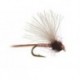CDC Mini Biot Comparadun Light Pink