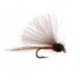 CDC Mini Biot Comparadun Orange
