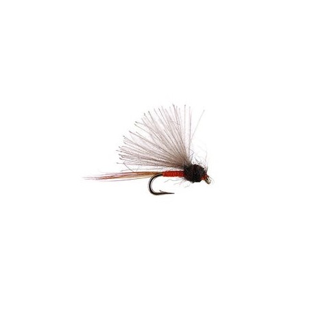 CDC Mini Biot Comparadun Orange