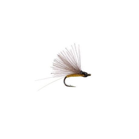 CDC Mini Biot Comparadun Yellow