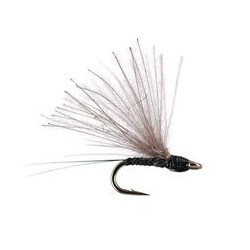 CDC Mini Black