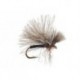 CDC Mini Black Sedge