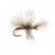 CDC Mini Claret Sedge