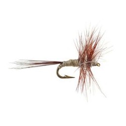 CDC Mini Classic Natural Dun