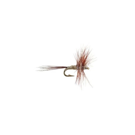 CDC Mini Classic Natural Dun