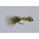 Yellow Belly Boobie Fly