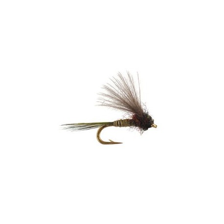 CDC Mini Olive Baetis