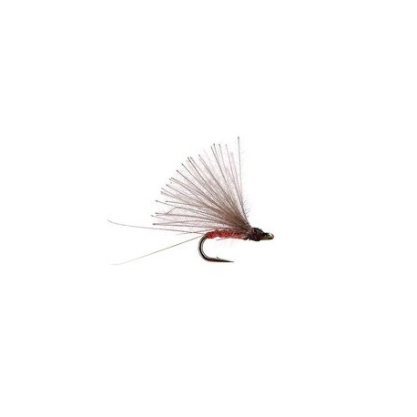 CDC Mini Orange