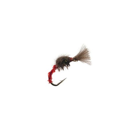 CDC Mini Red Ribbed Peacock Suspender