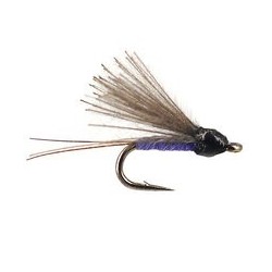 CDC Mini Violet
