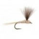 CDC Natural