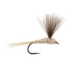 CDC Natural