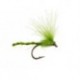 CDC Nyakinama Medium Olive