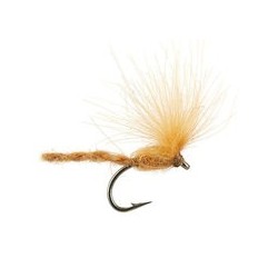 CDC Nyakinama Tan