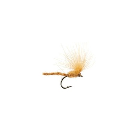 CDC Nyakinama Tan