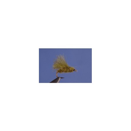 CDC Olive Adult Caddis