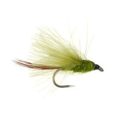 CDC Olive Bl