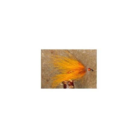 CDC Palmer Orange