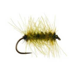 CDC Palmer