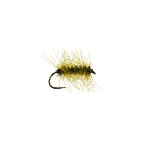 CDC Palmer