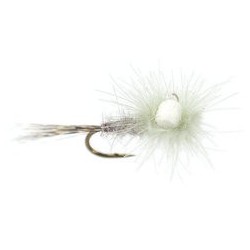 CDC Para Emerger