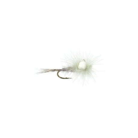 CDC Para Emerger